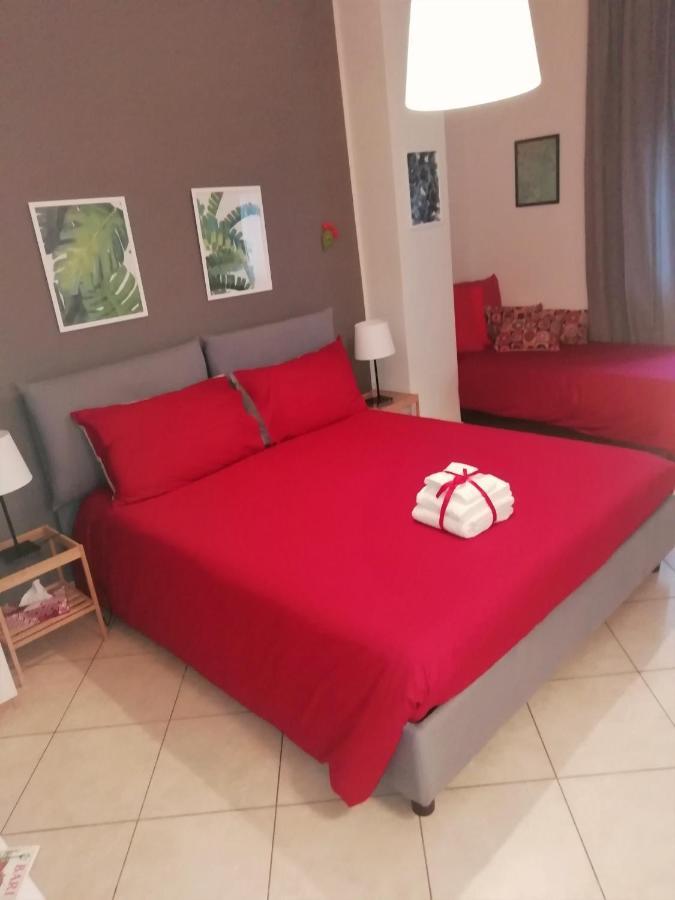 Kaktus 2*
