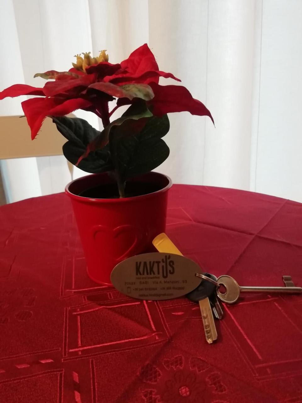 Bed & Breakfast Kaktus 2*